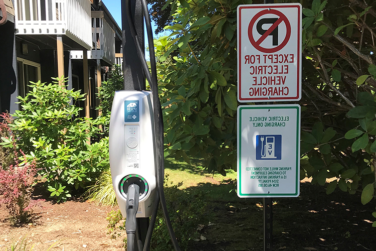 十大彩票平台小区阴影区域的电动汽车充电站.